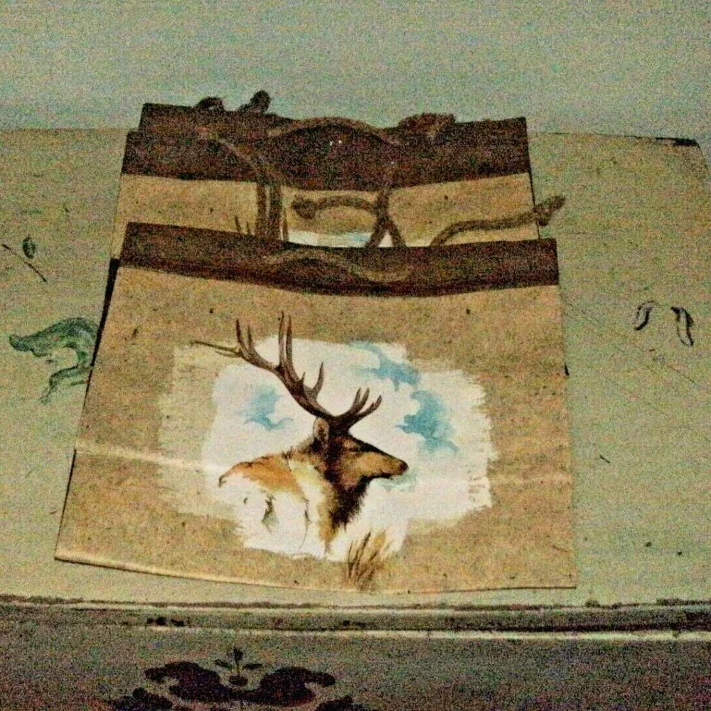 NWT LOT of 4 American Greetings Caribou Nature All Occasion Gift Bags 10x12